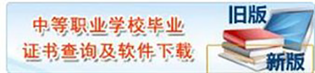 查詢系統樣式