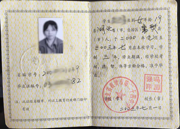 湖北省2001年高中畢業證樣本